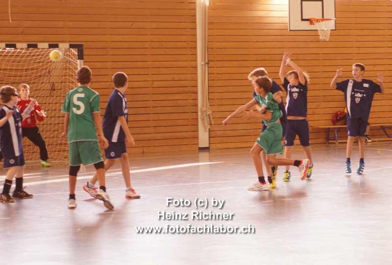 3111673 hvo_2.jpg
